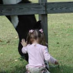 horse and kid